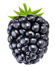 A close-up of a ripe, plump blackberry with green leaves.